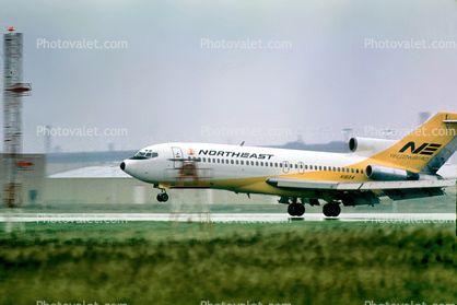 Northeast Yellow Bird Airline Logo - N1834, Yellowbird, NorthEast Airlines Images, Photography, Stock ...