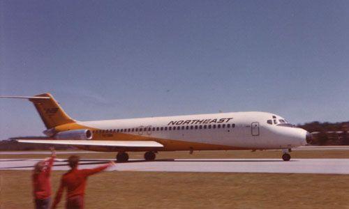 Northeast Yellow Bird Airline Logo - Northeast Airlines Yellowbirds - PlaneViz