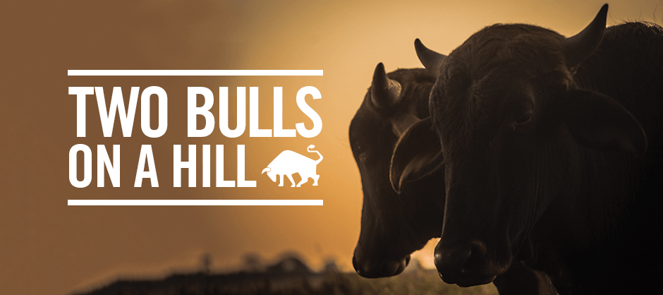 Two Bulls Logo - two bulls story, design room creative digital design