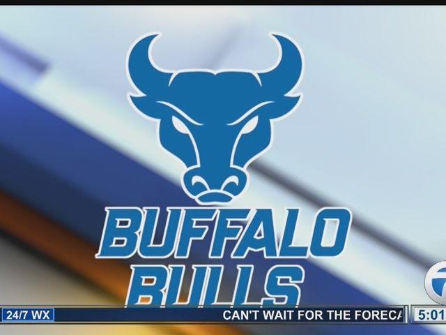 Two Bulls Logo - Buffalo is back on UB Bulls logo