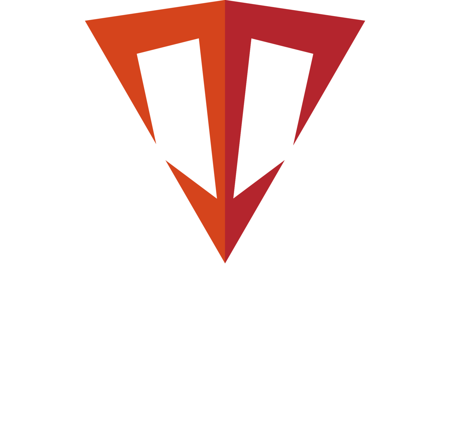 Triton Triangle Logo - Triton Innovation Inc