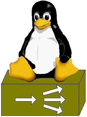 Linux Server Logo - Linux Virtual Server Logos