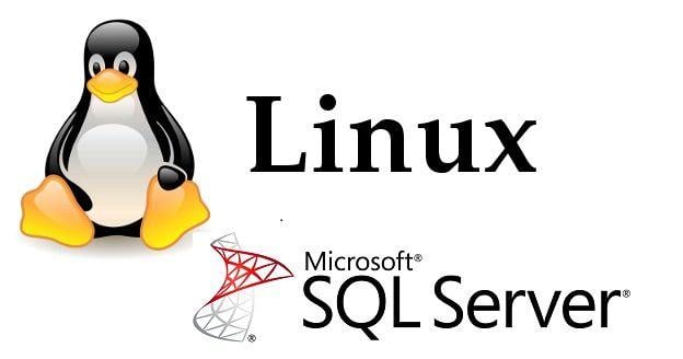 Linux Server Logo - Microsoft Discusses Release Plans for SQL Server on Linux