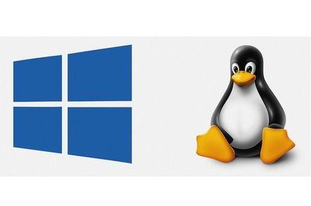 Linux Server Logo - Windows Subsystem for Linux is coming to Windows Server • The Register