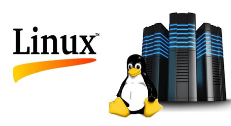 Linux Server Logo - Linux Server Hosting in New Delhi, Dwarka
