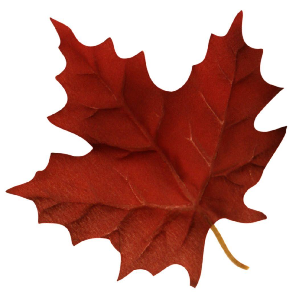 Canada Leaf Logo - Free Canadian Maple Leaf, Download Free Clip Art, Free Clip Art on ...