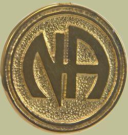 Narcotics Anonymous Logo - Basic Narcotics Anonymous Logo Pendants (Solid) - Wiser Recovery Jewelry