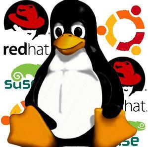 Linux Server Logo - Linux For Beginners What Is Linux And GNU Linux And Linux Compared