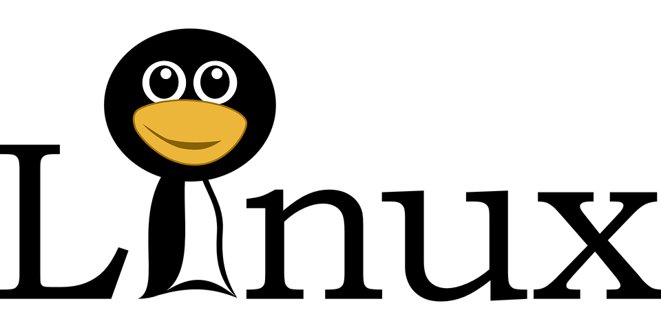 Linux Server Logo - 6 Advantages of Hosting on a Linux Server – Tech Geekers