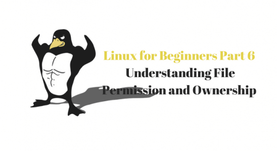 Linux Server Logo - linux server os Archives • Information Technology Blog