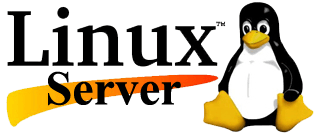 Linux Server Logo - Linux Server