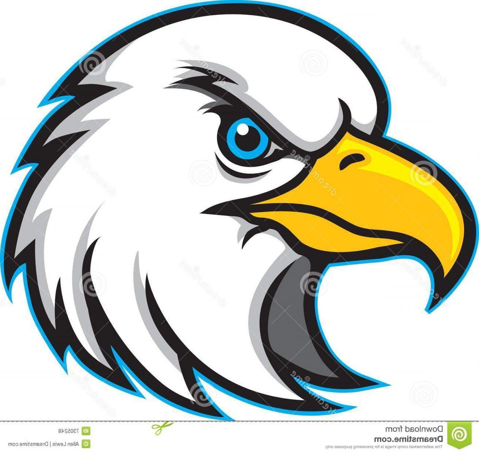 Hawks Mascot Logo - Hawk Head Vector Art