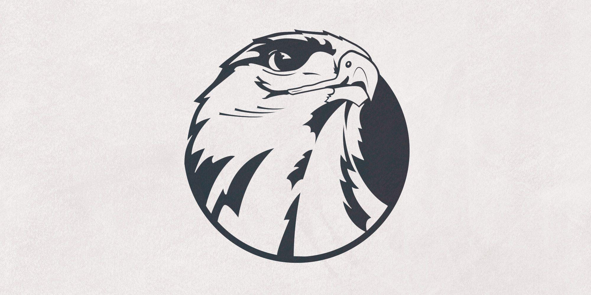 Hawks Mascot Logo - Mascot design for a high school