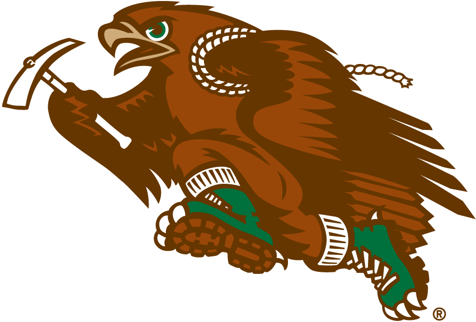 Hawks Mascot Logo - Lehigh Mountain Hawks Mascot Logo - NCAA Division I (i-m) (NCAA i-m ...