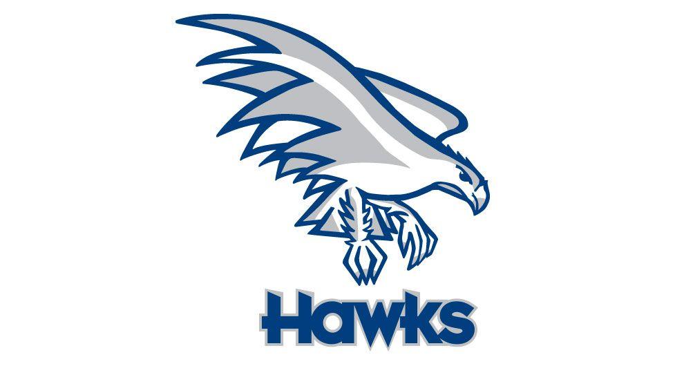 Hawks Mascot Logo - Juan Garcia Studio FIA Mascot Logo Design