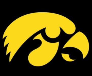 Hawks Mascot Logo - University Of Iowa Professor Deeply Worried Because Mascot And Logo ...