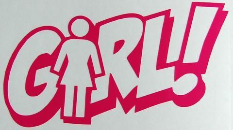 Girl Skateboard Logo - Girl Skateboards Comic Sticker | Sticker Blimp Decals