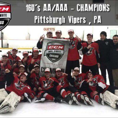 Pittsburgh Vipers Logo - Pittsburgh Vipers u16 AA (@VipersU16) | Twitter