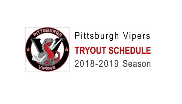 Pittsburgh Vipers Logo - North Hills Amateur Hockey Association