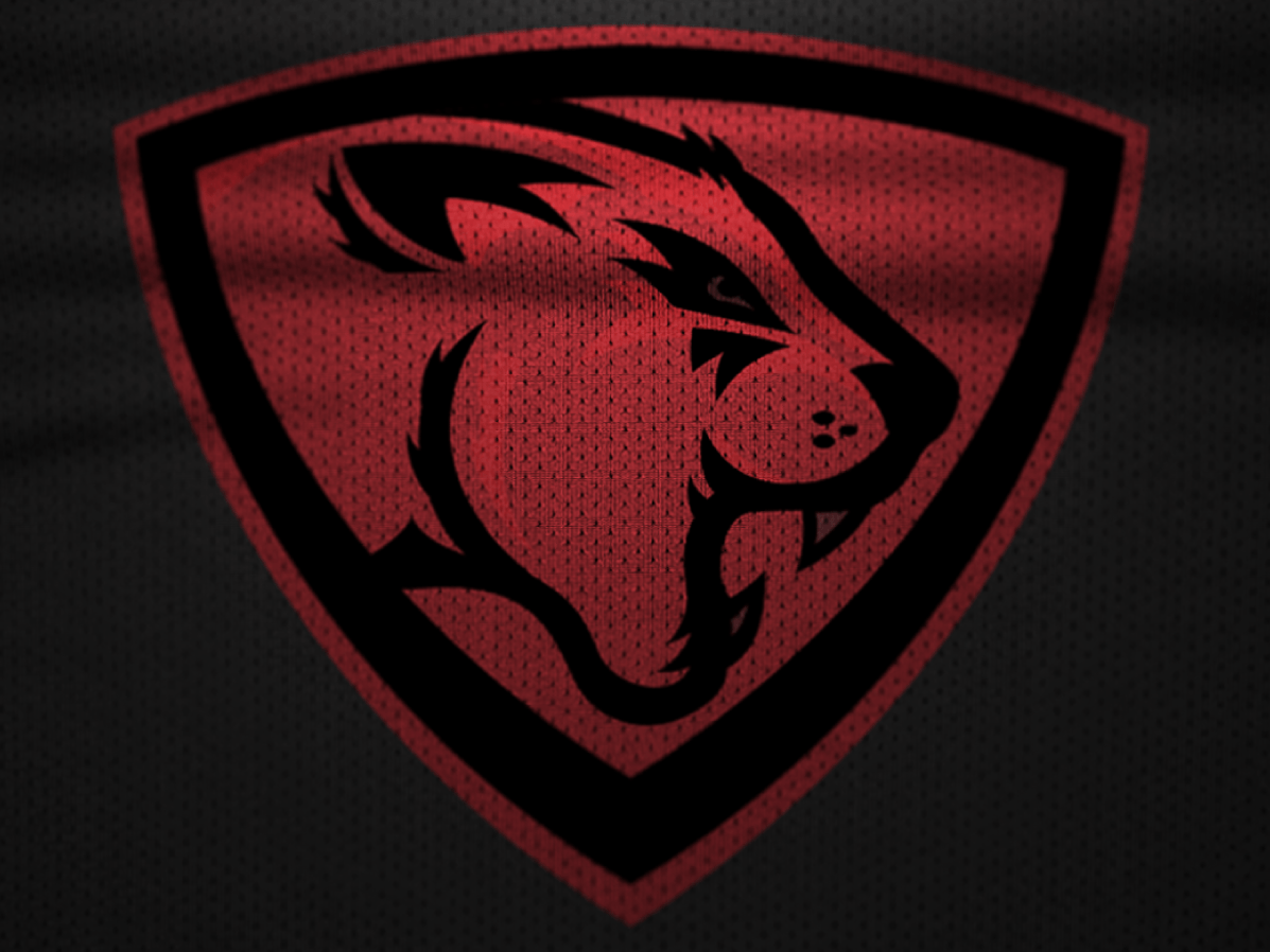 Mountain Lion Logo - Red Mountain Lions Logo by JMG Graphic Works | Dribbble | Dribbble