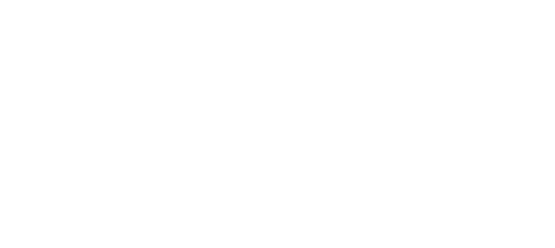 Polar Logo - Polar Skate Co. | 2018
