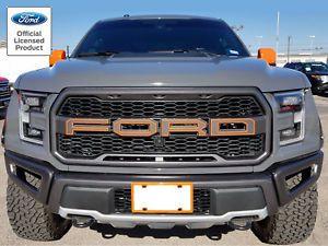 2018 Ford Raptor Logo - 2017 FORD RAPTOR SVT F-150 GRILLE LETTER OUTLINES VINYL STICKERS ...