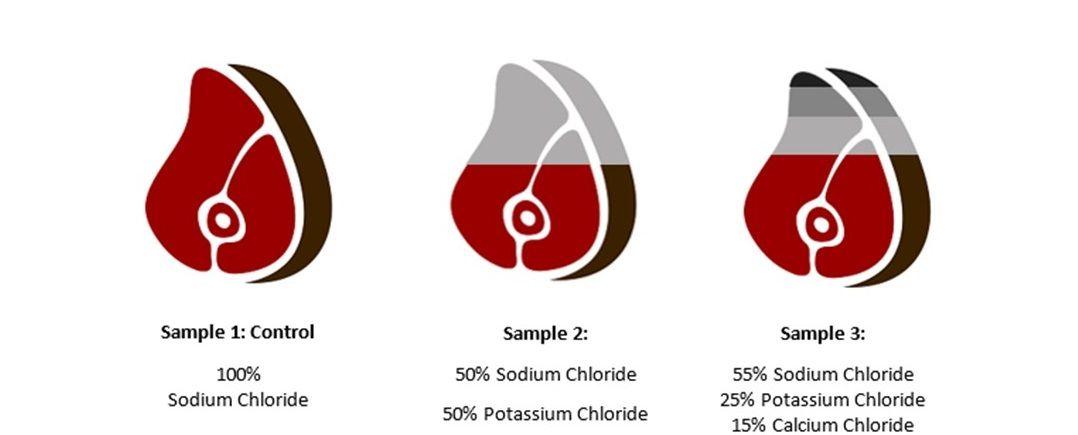 Ham Red Circle Logo - Potassium Chloride A Solution for Low Sodium Meats | Cargill