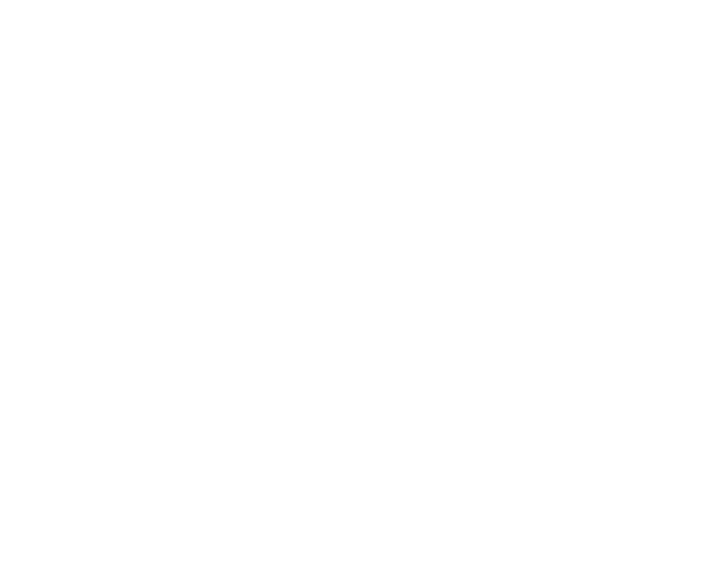 New Orleans Logo - Identity Standards | University of New Orleans