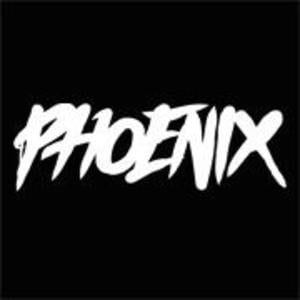 Phoenix Clothing Logo - T Shirt, Phoenix, Streetwear, Burgundy, French Terry, Streetstyle