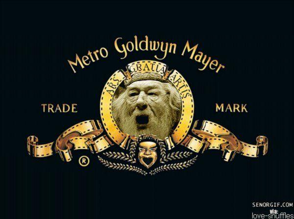 MGM Logo - Metro Goldwyn Mayer Logo | Know Your Meme