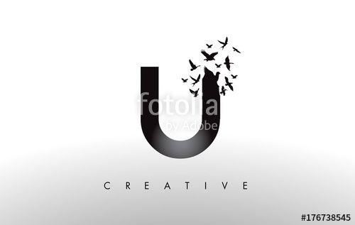 Creative U Logo - U Logo Letter with Flock of Birds Flying and Disintegrating from the ...