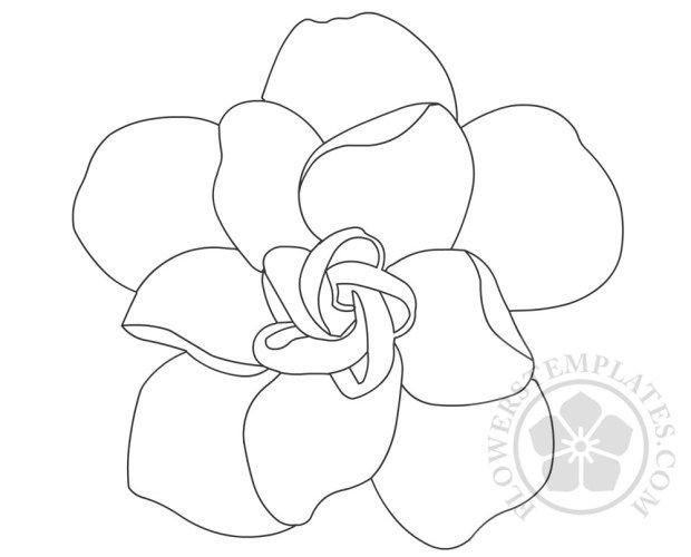 Gardenia Flower Logo - Gardenia flower coloring page | Flowers Templates