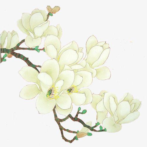 Gardenia Flower Logo - White Orchid Flowers, Gardenia, Flowers, Illustration PNG Image