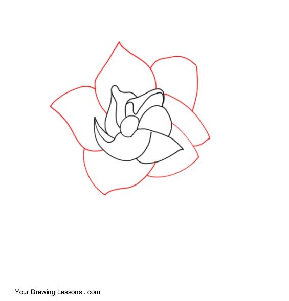 Gardenia Flower Logo - How To Draw A Gardenia