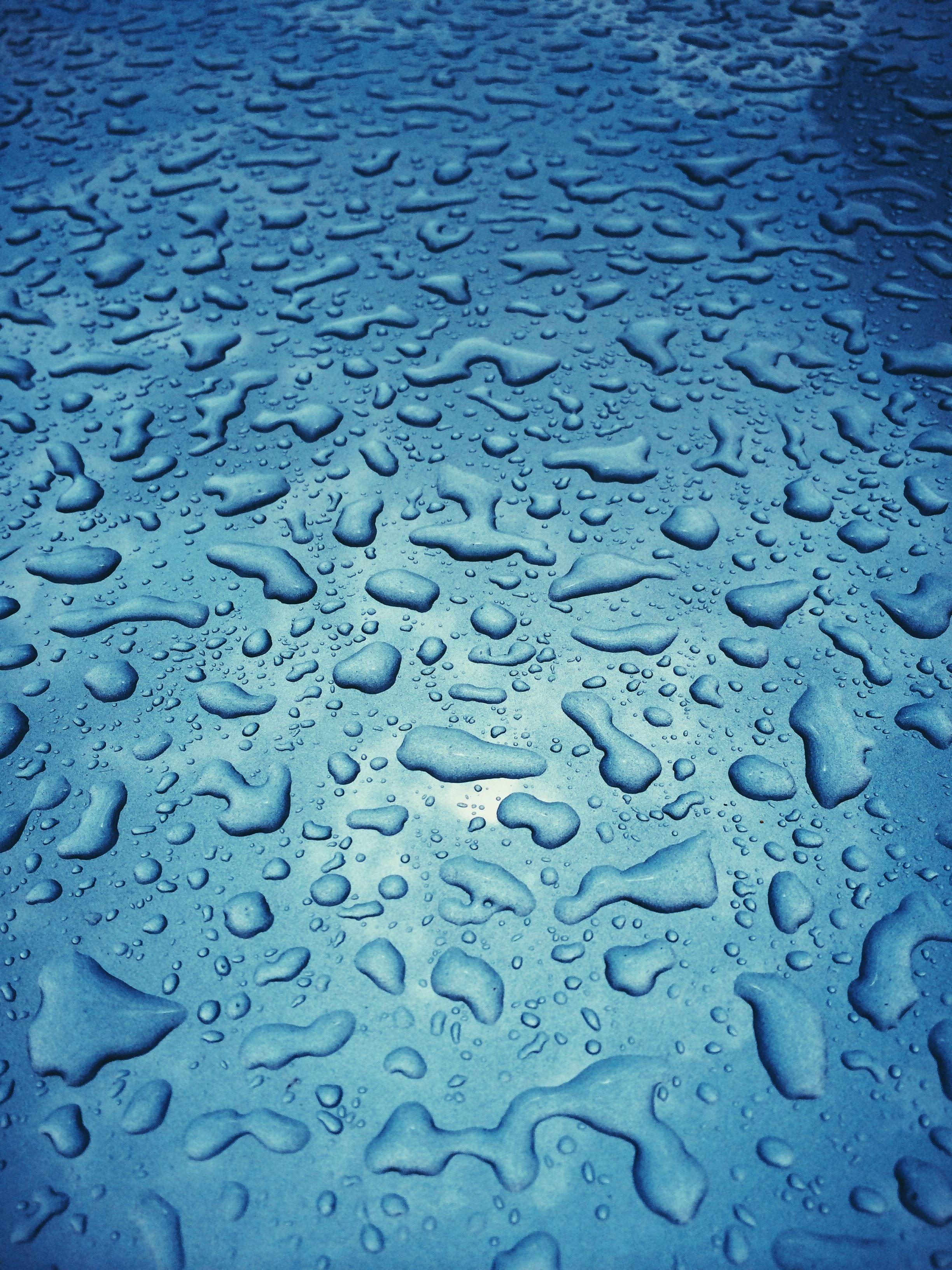 Blue Rain Drop Logo - Sisalto - Free wallpaper: drop blue rain drops