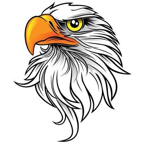 Cartoon Eagle Logo - 44 Images Of Eagle Mascot Clipart You Can Use These Free Cliparts ...