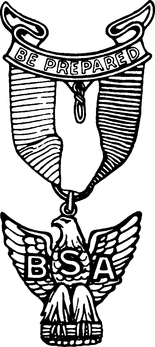 Clip Art Eagles Logo - USSSP & Library