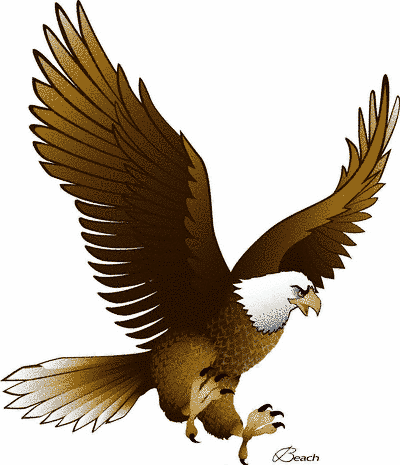 Clip Art Eagles Logo - 20+ Different Types of Eagles with Pictures | Chicano Art | Eagle ...