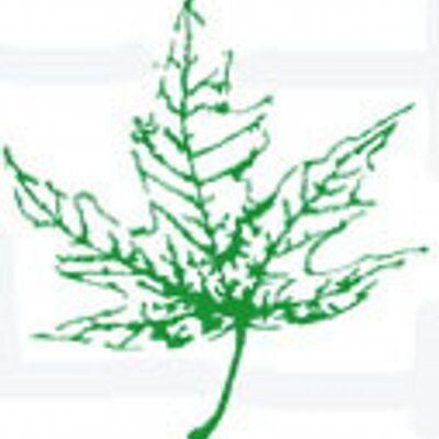 Geauga County Maple Leaf Logo - Maple Leaf on Twitter: 