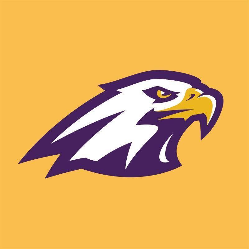 Yellow Bird Sports Logo - Holy Spirit Catholic School | SPORT DECALS | Logos, Sports logo ...