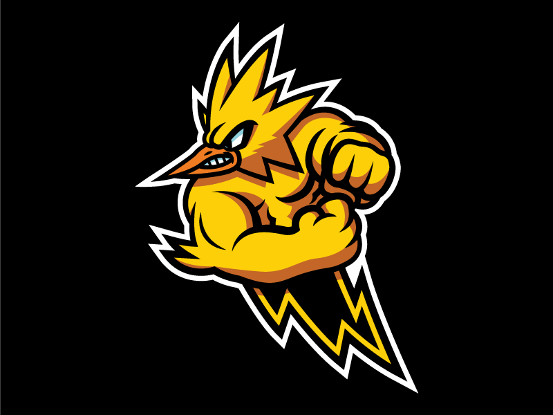 Yellow Bird Sports Logo - Fightin' Zapdos on Behance | Mascot Branding And Logos | Logos ...