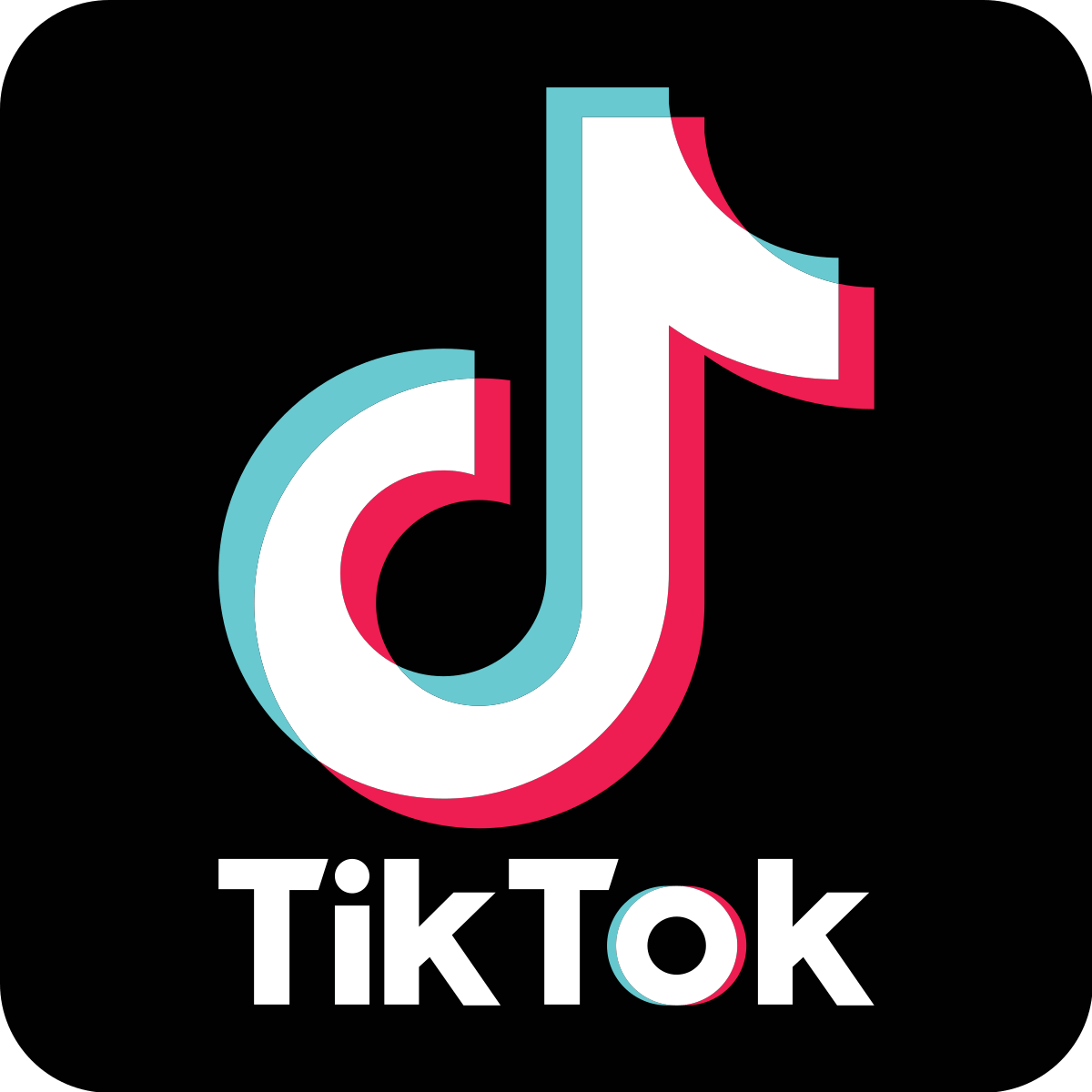 Tik Tok Logo - TikTok