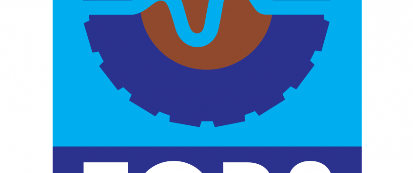 Blue and Bronze Logo - FORS bronze logo
