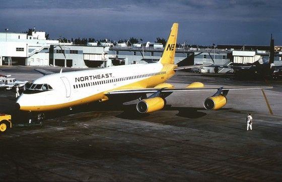 Yellow Bird Airline Logo - Northeast Airlines Yellowbirds - PlaneViz