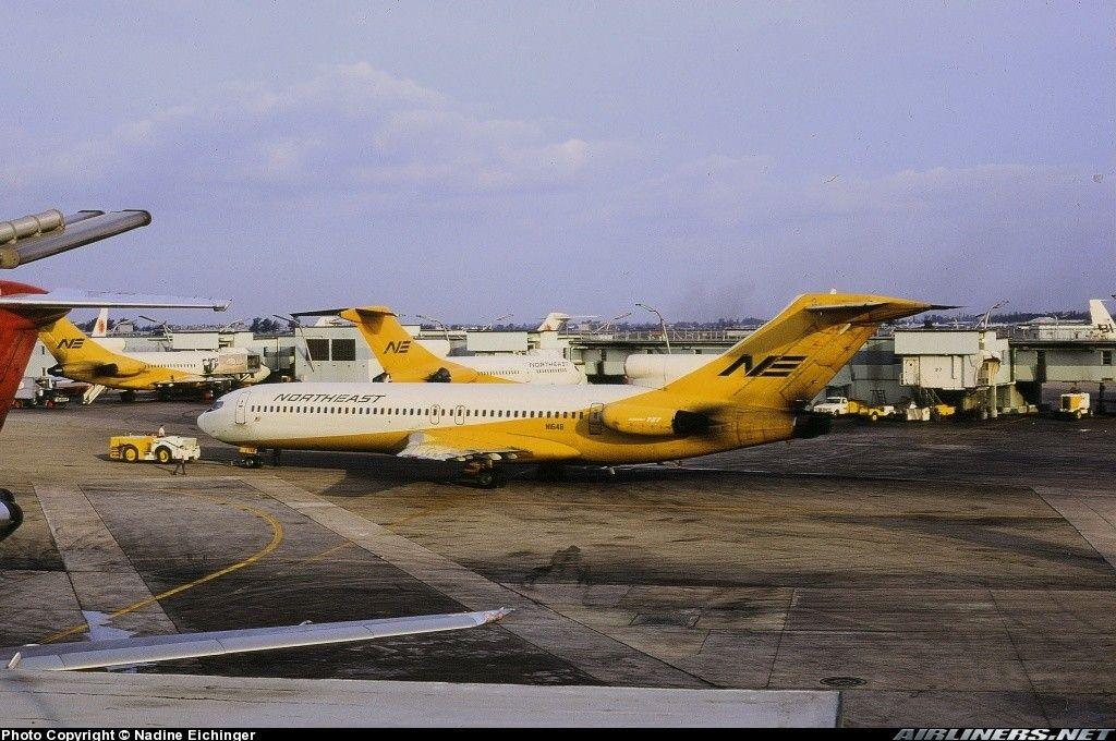 Yellow Bird Airline Logo - Northeast Airlines Yellowbirds - PlaneViz