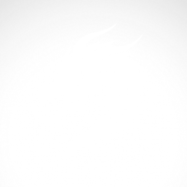 Simple Dragon Logo - Simple color vinyl Dragon Head | Stickers Factory