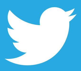 Small Twitter Logo - twitter-logo-618-340x300 - David Nieper Academy