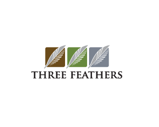 Three Rectangle Logo - THREE FEATHERS Designed