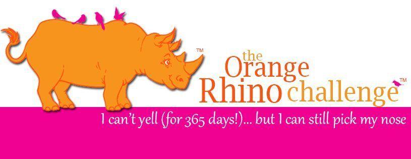 Orange Rhino Logo - The Orange Rhino · The Simple Proof