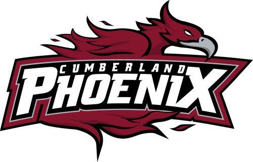 College Sports Team Logo - COOL-NAMED SPORTS TEAM: CUMBERLAND U's NEW NAME | Balladeer's Blog